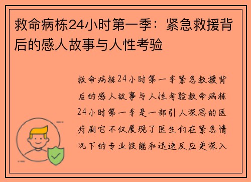 救命病栋24小时第一季：紧急救援背后的感人故事与人性考验